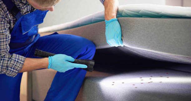 Best Affordable Pest Control Services  in Dilworthtown, PA